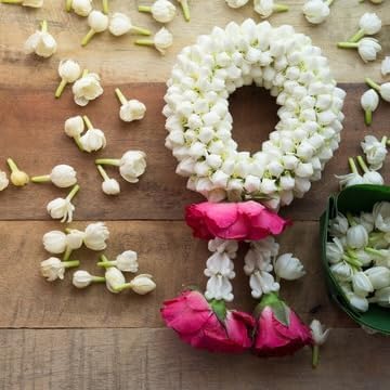 Arabian Jasmine (Jasminum Sambac) - Live, Fragrant, Blooming, Indoor/Outdoor Decorative Plant (2 Arab jas sacs)