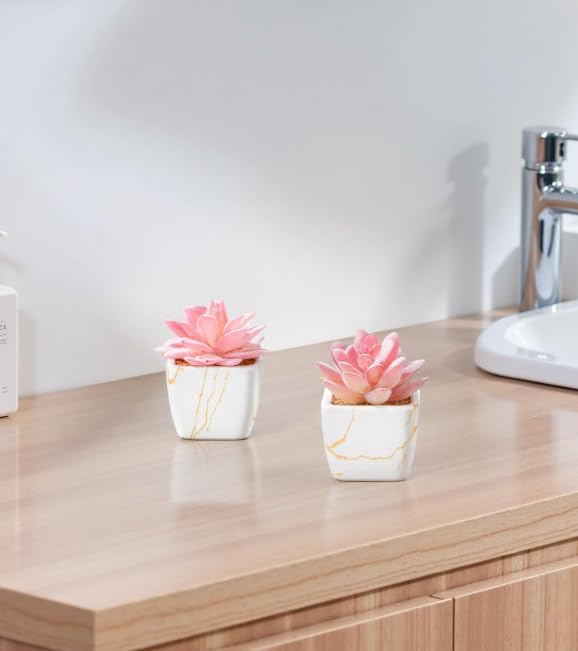 Artificial Succulent in 4PCS White Ceramic Pot, Small Fake Succulents Plants for Office and Desk Decor,Bathroom, Bedroom, Shelves, Vanity for Women