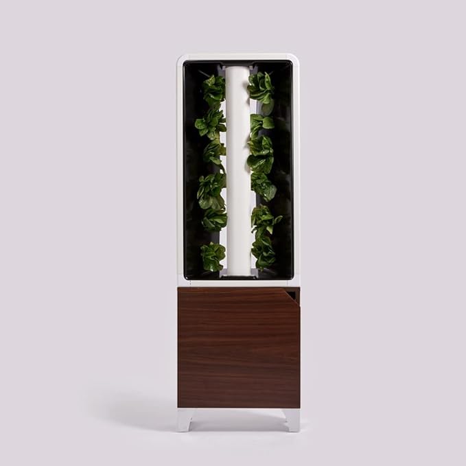 Just Vertical EVE Indoor Hydroponic Garden | Modern Furniture-Style Vertical Planter | Grow 12 Fresh Herbs & Vegetables Year-Round | Self-Watering, Energy-Efficient LED, Compact Design