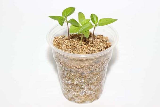 Gardenera Half and Half Mix of Perlite and Vermiculite - 20 Quart - Unlock The Secret to Thriving Plants with a Natural Soil Amendment (4 Bags of 5 Quart)
