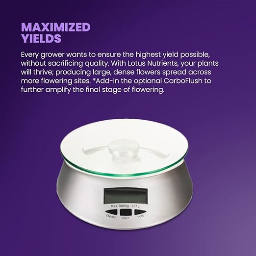 Boost Pro Series - Bloom Booster & Yield Enhancer: Premium Plant Nutrients for Indoor/Outdoor Grows - Soil, Hydroponic, Coco Coir - 36 oz