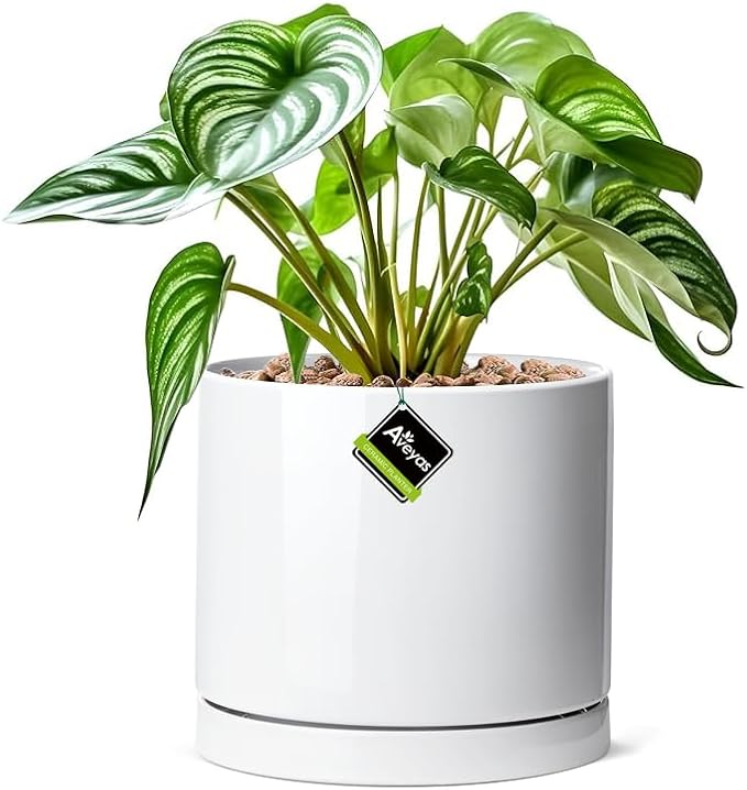 Aveyas 8 inch Ceramic Plant Pot with Drainage Hole and Saucer - Suitable for Indoor and Outdoor Use, Modern Planters for House Garden Flower Tree Snake Monstera Plants (8", Glossy White)