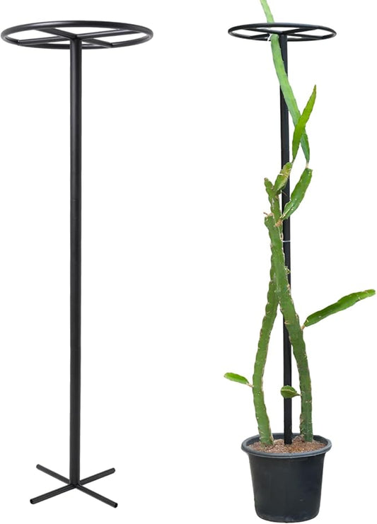 14"x14"x60" 1PCS Dragon Fruit Trellis - Durable Metal Vertical Support Frame for Climbing Plants, Easy Assembly with Instructions, for Dragon Fruit Enthusiasts