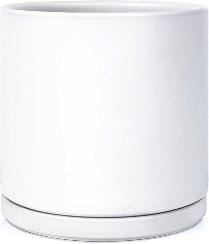 Kazeila Plant Pots Ceramic Planter for Indoor Outdoor Plants Flowers 10 Inch Matte White Large Cylinder Flower Pot with Saucer and Drainage Hole,Glazed Finish Interior and Exterior