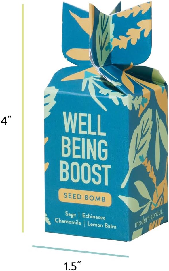 Modern Sprout Seed Bombs - Organic Wildflower & Herbs Seeds for Indoor/Outdoor Gardening - Party Favors and Eco-Friendly Gift for Plant Lovers - Includes 12 Hand-Rolled Seed Balls - Made in The USA