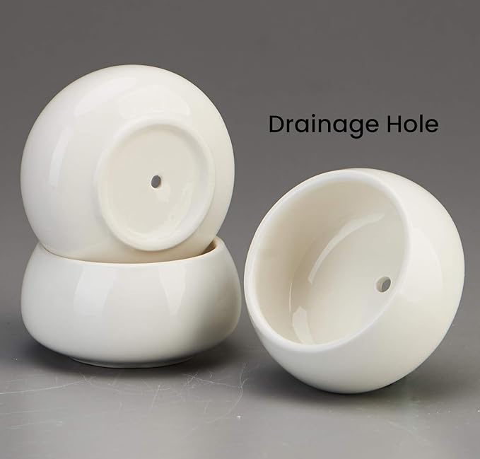 FLOWERPLUS Planter Pots Indoor, 3 Pack 3 Inch White Ceramic Decorative Small Round Succulent Cactus Flower Plant Pot with Tree Tier Bamboo Stand for Garden Kitchen Home Office Desk Decorations