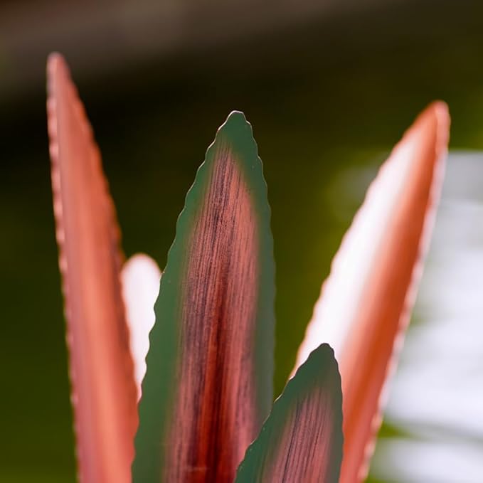 Metal Agave Plant Home Decor, Enlarge Thickened Metal Agave Garden Art for Outdoor Decor, Patio Lawn, Garden Sculpture Statue Green