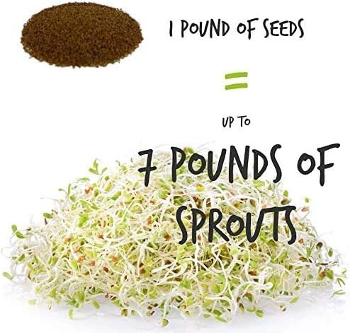 Organic Sprouting Seed Mix – 2.5 lb – 10 Varieties: Alfalfa, Mung Bean, Broccoli, Lentil, Clover, Buckwheat, Radish, Bean Salad, More