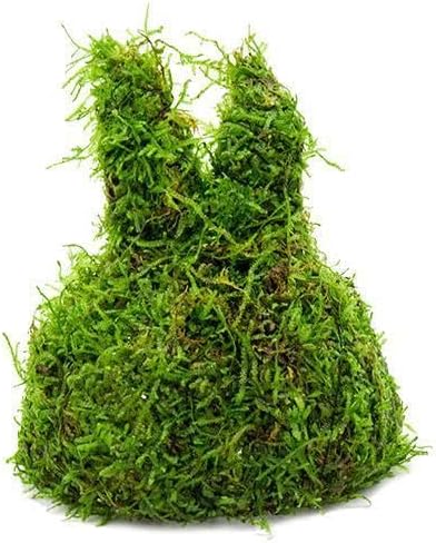 SubstrateSource Live Aquarium Plants on Driftwood, Lava Rock, Moss, Fiber Mat - Freshwater Fish Tanks - Easy, Beginner Friendly (Christmas Moss on Coconut Rabbit)