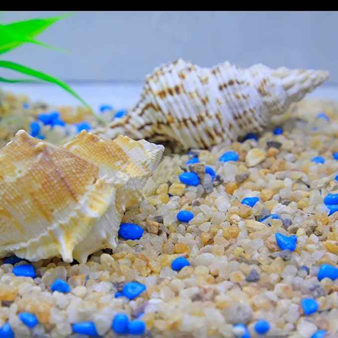 TOYPOPOR Coarse Silica Sand 2.2lb for Bonsai Cacti Succulent and Carnivorous Plant Mix