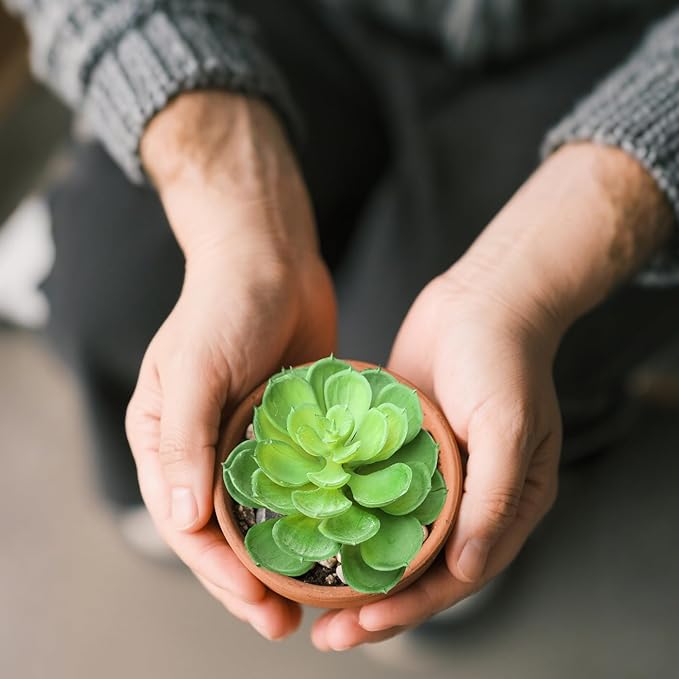 2Pcs Artificial Succulent Plants, Lotus Flower Realistic Fake Succulents, Fake Plant for Garden Arrangement Decor, Green