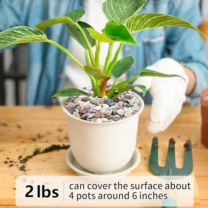 2LB Succulent and Cactus Gravel Pebbles, 1/5 Inch Natural Decorative Polished Stones, River Rocks for Vases Gardening Indoor and Outdoor Decorative Rocks, Colorful