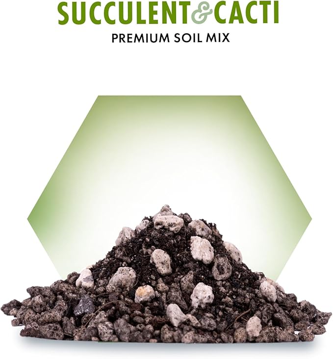 Premium Succulent Soil Mix for Indoor & Outdoor Plants - Fast-Draining Potting Soil for Succulents, Cacti, & Houseplants - Natural Blend with Pumice for Optimal Plant Growth - 4 Quarts
