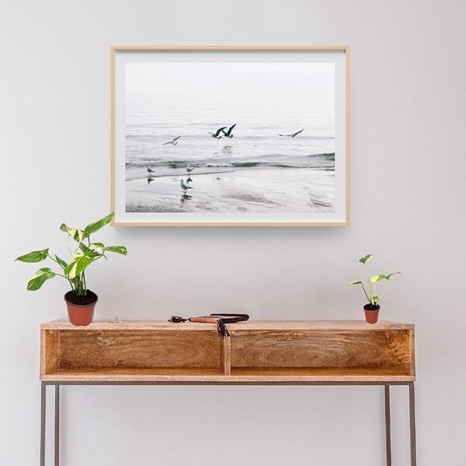 CoollectivePlants Monstera Thai Constellation – Live Plant in 2″ Grower’s Pot, Thai Constellation Monstera Live Plant, Easy Indoor House Plant