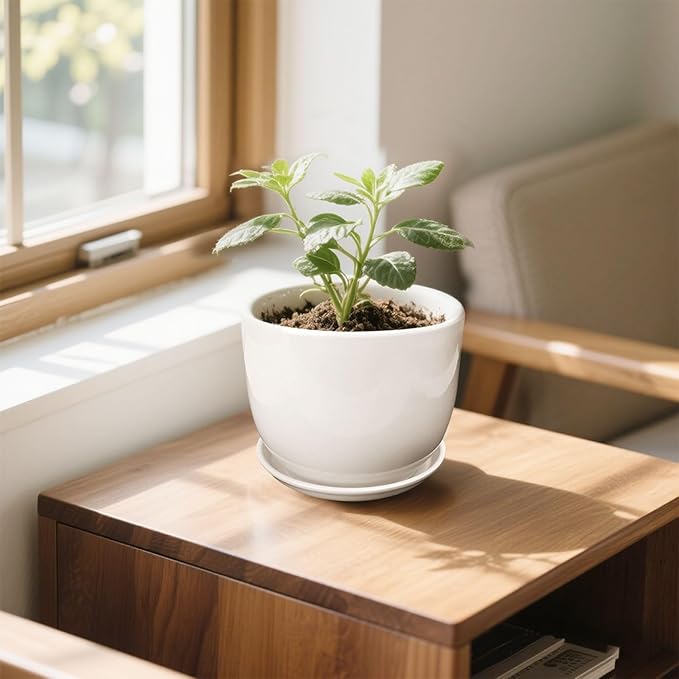 Ceramic Plant Pots,White 6.7 Inch Flower Pots for Plants,Ceramic Planter with Drainage Holes,Indoor Planter Pots with Saucer,Outdoor Garden Pots (White, 2 Pack)