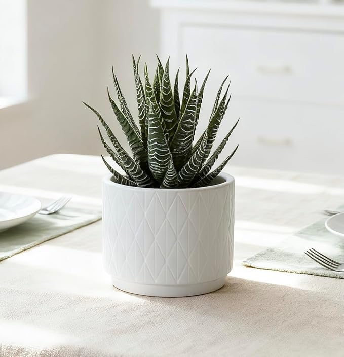 Kurrajong Farmhouse Artificial Succulent Plant in Matte White Ceramic Pot | Dark Green Aloe Plant | Great as Desk Decor or Bathroom Decor | Beautiful Realistic Faux Succulent with no Maintenance