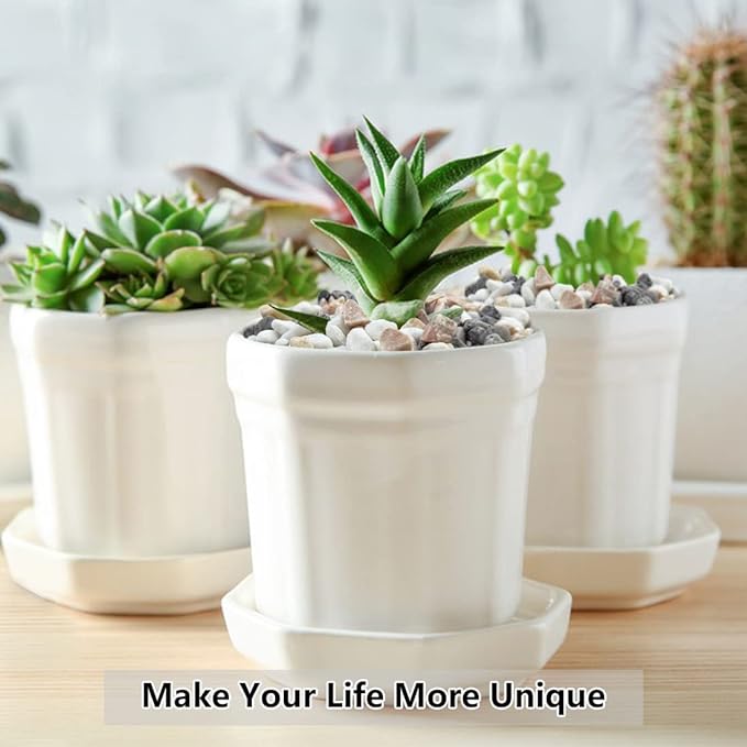 2LB Succulent and Cactus Gravel Pebbles, 1/5 Inch Natural Decorative Polished Stones, River Rocks for Vases, Aquariums, Terrarium and Outdoor Gardening, Mixed Color