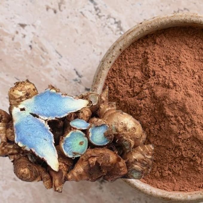 Premium Live Black Turmeric (Curcuma caesia) Plants - Rare Herbal Medicinal Plant, Perfect for Home Gardens (2 Black Turmeric Cups)