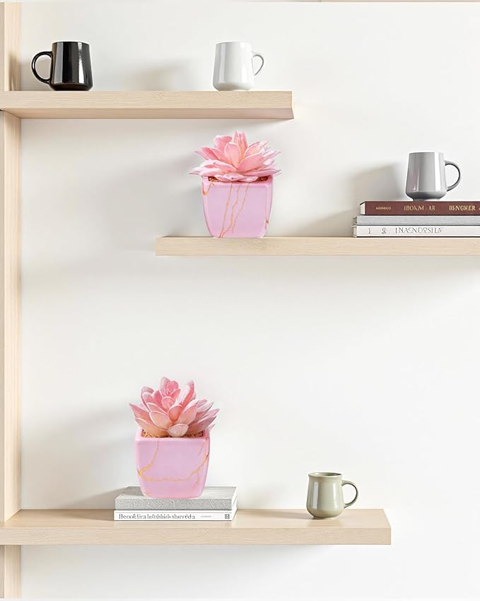 Artificial Succulent in 2PCS Pink Ceramic Pot, Small Fake Succulents Plants for Office and Desk Decor,Bathroom