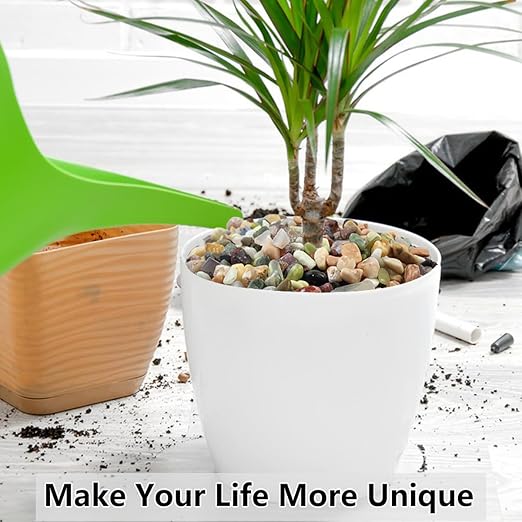 5LB Succulent and Cactus Colorful Pebbles, 3/8 Inch Pebbles for Indoor Plants, Natural Decorative Polished River Rocks for Vases, Planters and Outdoor Gardening