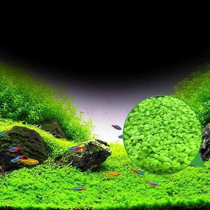 3 Pack Freshwater Aquarium Decor, Easy Growing Dwarf Carpet for Fish Tank/Terrarium, Natural Aquatic Plant Growth Material (Small Leaf)