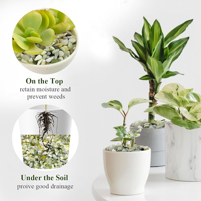 2 lbs Jade Rocks for Plants Indoor, 3/8 inch Small Pebbles for Indoor Plants, Decorative Rocks for Succulents Cactus Bamboo Vases Landscaping Drainage and Outdoor Garden Rocks