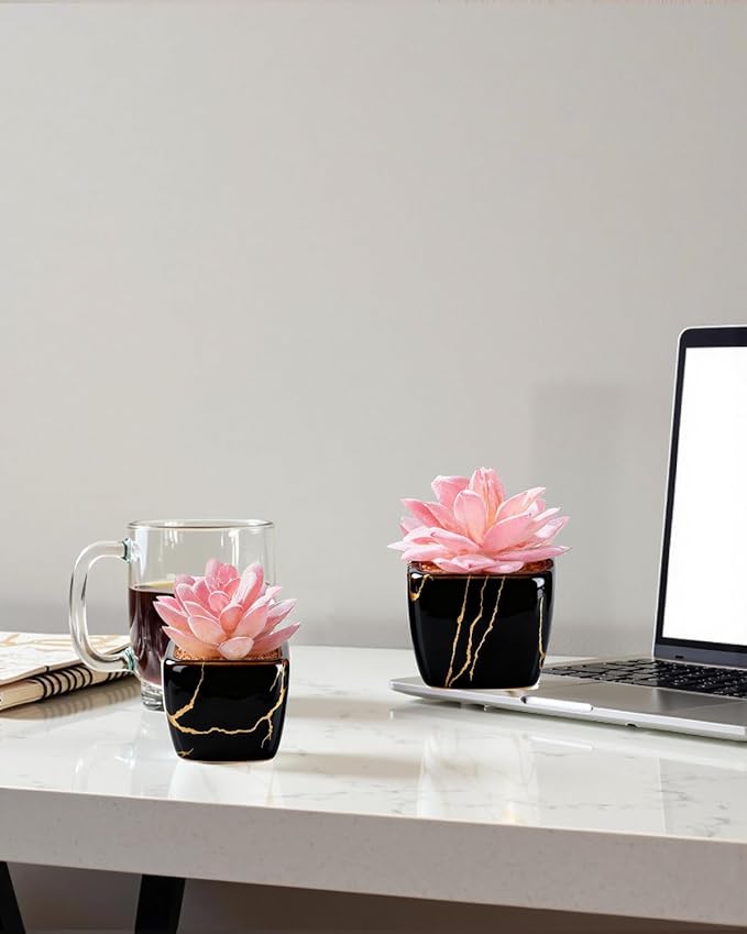 Artificial Succulent in 2PCS Black Ceramic Pot, Small Fake Succulents Plants for Office and Desk Decor,Bathroom, Bedroom, Shelves, Vanity for Women