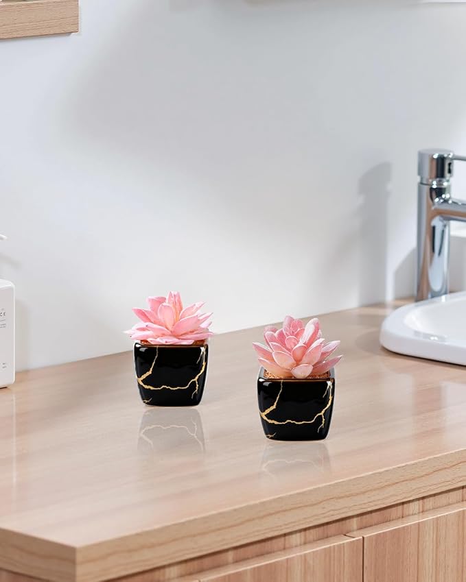 Artificial Succulent in 2PCS Black Ceramic Pot, Small Fake Succulents Plants for Office and Desk Decor,Bathroom, Bedroom, Shelves, Vanity for Women