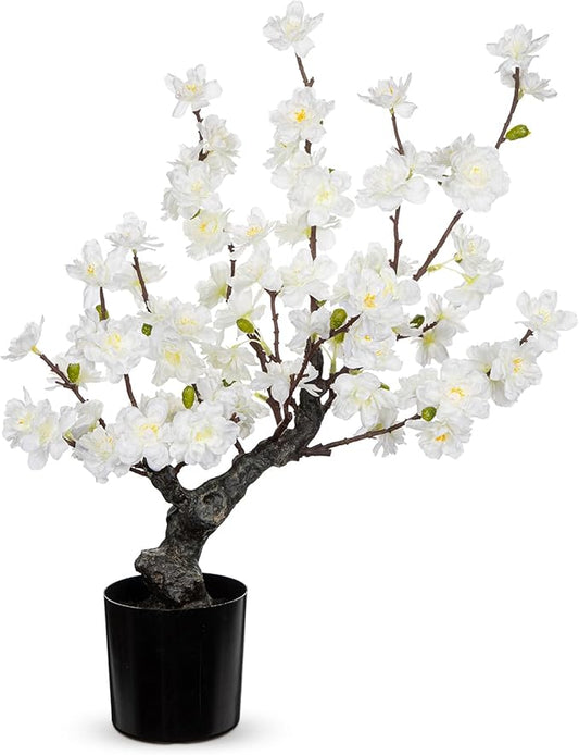 DILATATA Faux Cherry Blossom Bonsai Tree 16" Small Artificial Bonsai Tree for Home Decor White Apple Blossom Tree for Indoor Bookshelf Office Desk Bathroom Decor