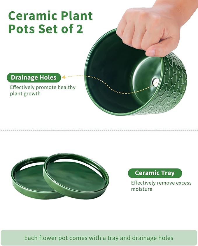 6 Inch Plant Pot,Ceramic Pots for Plants with Drainage,Flower Pots Indoor Pots for Plants, Modern Flower Pots for Home and Office,Set of 2 - Patina