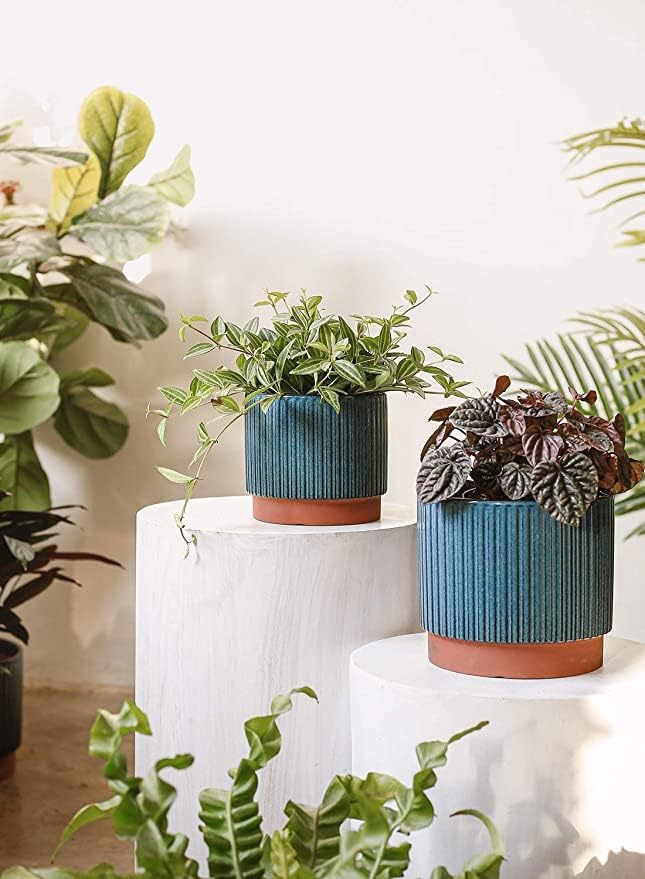 LE TAUCI Ceramic Pots for Plants, 8+6.7+5.5 Inch Plant Pots Indoor, Flower Pot with Drainage Holes, Medium Cylinder Planters for Indoor House Plants, Set of 3, Blue