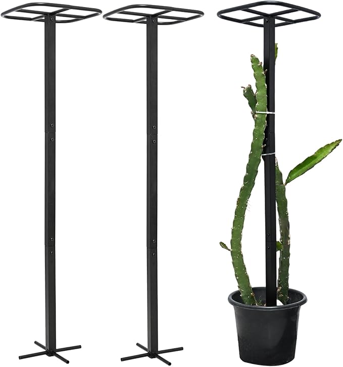 2-Pack Metal Dragon Fruit Trellis - Durable Vertical Garden Support for Climbing Plants, Easy to Assemble, 12x12x50 Inches for Dragon Fruit Enthusiasts