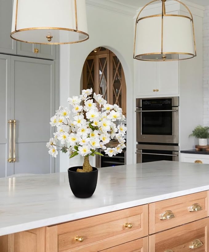 DILATATA Faux Cherry Blossom Bonsai Tree 16 inch Small Artificial Bonsai Tree for Home Decor White Apple Blossom Tree for Indoor Bookshelf Office Desk Bathroom Decor