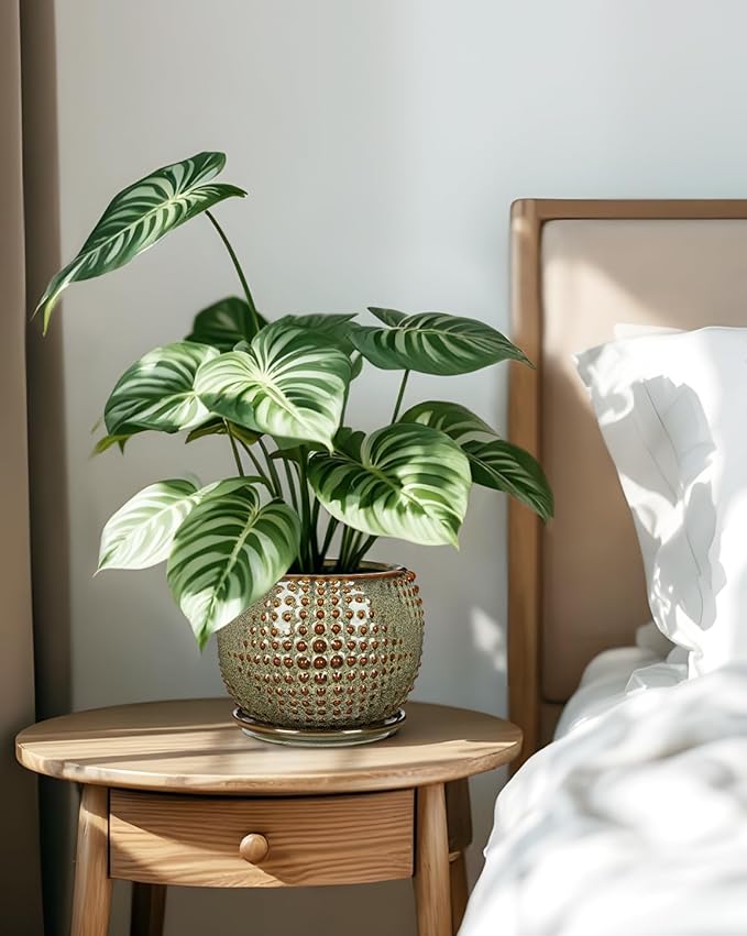 Ceramic Pot for Indoor Plants, 7 inch Plant Pot with Drainage Hole and Saucer Decorative Brown Planter with Saucer Indoor Outdoor Flower Pots for Succulent Snake Plant Pothos Orchid