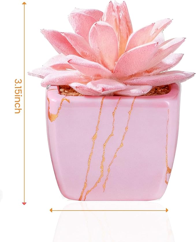 Artificial Succulent in 2PCS Pink Ceramic Pot, Small Fake Succulents Plants for Office and Desk Decor,Bathroom