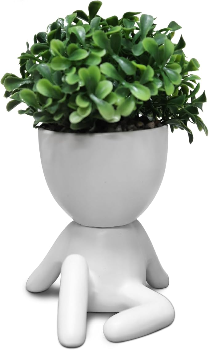 Zerzsy Desktop Plant for Women Office Decoration Fake Plant Succulents Plants Artificial for Home Bathroom Living Room Office Decor Small Fake Plants Decor for Bedroom and Bathroom - Set of 1