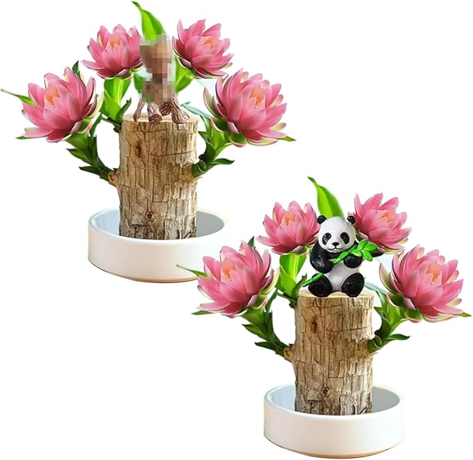 Brazilian Lucky Wood Kit with Monk, Grow Your Own Luck,Easy to Maintain Mini Brazil Woods for Indoor/Outdoor, Bedroom, Kitchen, Office Desk, Garden and Other Decorations (3E)