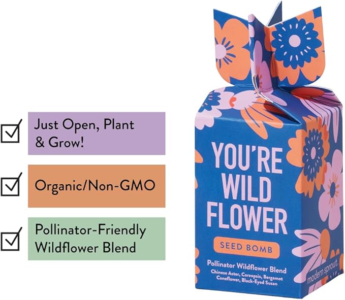 Modern Sprout Seed Bombs - Organic Wildflower & Herbs Seeds for Indoor/Outdoor Gardening - Party Favors and Eco-Friendly Gift for Plant Lovers - Includes 12 Hand-Rolled Seed Balls - Made in The USA