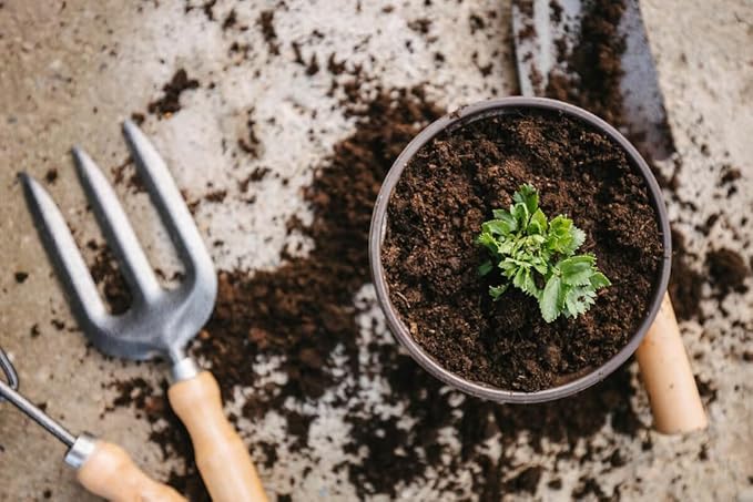 GARDENERA Premium Celery Potting Soil Mix - Optimal Nutrient-Rich Blend for Thriving and Crisp Celery Plants - 4 Quart