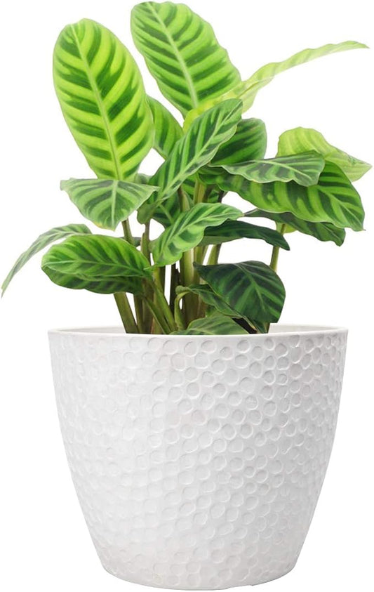 LA JOLIE MUSE Outdoor Planters Indoor Flower Pots - 9.4 Inch Planter Pot Containers, White Plant Pots,Honeycomb