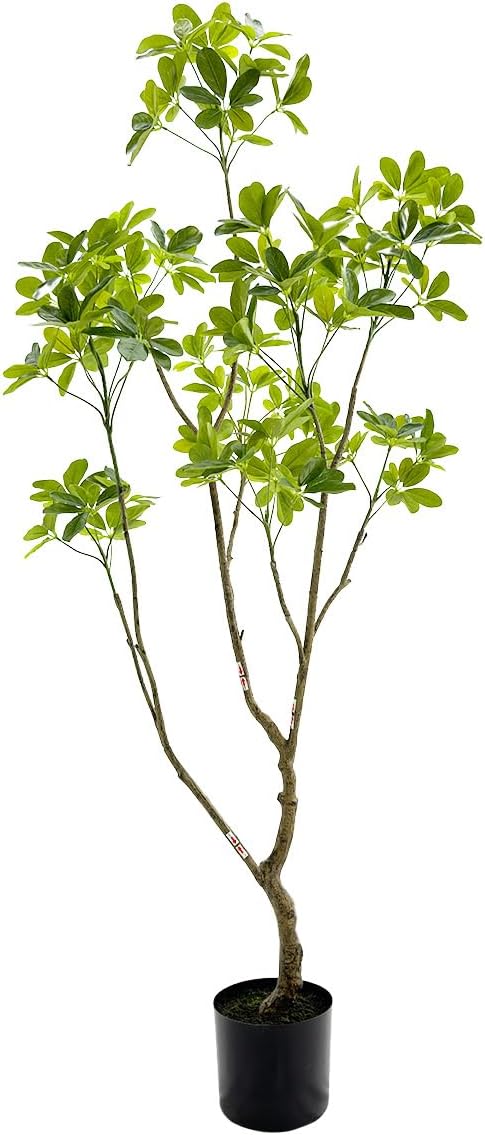 Artificial Schefflera Plant, 5.3ft Tall Indoor Plant, Natural Branch Design