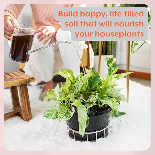 Instant Plant Care Bundle | Instant Plant Support + Instant Plant Food | Grow and Support Happy Houseplants and Indoor Planting Soil