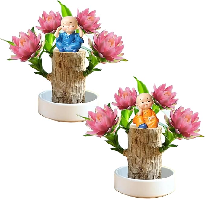 Brazilian Lucky Wood Kit with Monk, Grow Your Own Luck,Easy to Maintain Mini Brazil Woods for Indoor/Outdoor, Bedroom, Kitchen, Office Desk, Garden and Other Decorations (2C)
