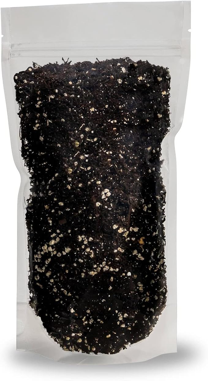 Gardenera GARDENERA Aglaonema Plant Potting Soil - Enhance Foliage Beauty and Health with Professional Grade Nutrient-Rich Mix - 3 Quart, MAIN-AGLAONEMA-3QT