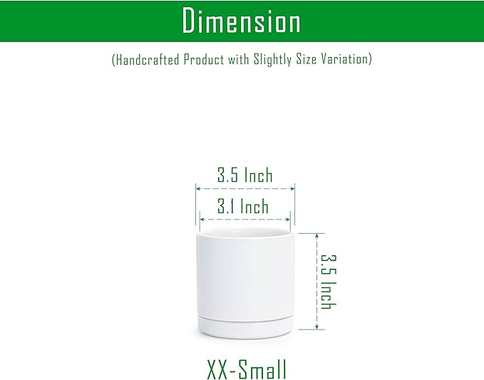 D'vine Dev Set of 2 Plants Pots, 3.5 Inch Ceramic Planter Pot for Plants with Drainage Hole and Saucer, White, 94-V-A-1