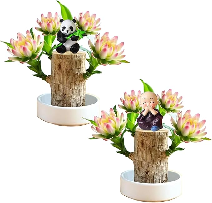 Brazilian Lucky Wood Plant Kit, Lucky Wood Doesn't Need to Wait to Sprout, Suitable for Home Office Desk Decor, Natural Air Cleaner (2L)