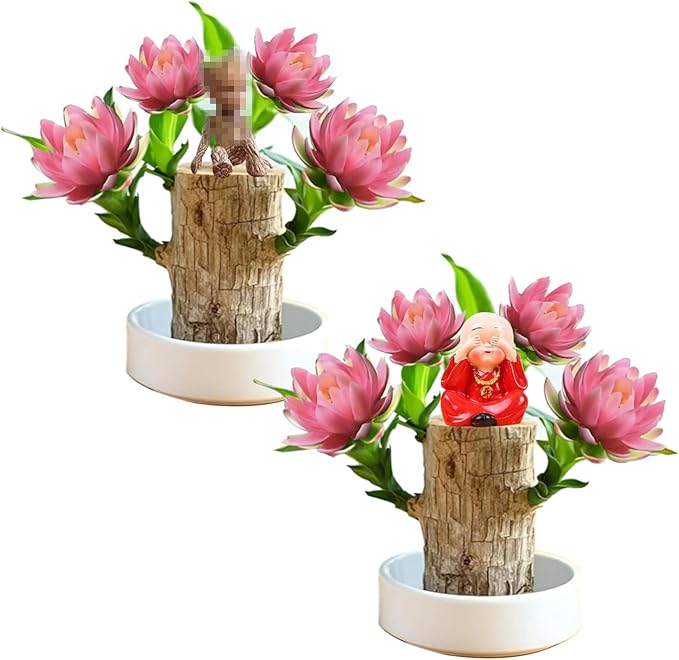 Brazilian Lucky Wood Kit with Monk, Grow Your Own Luck,Easy to Maintain Mini Brazil Woods for Indoor/Outdoor, Bedroom, Kitchen, Office Desk, Garden and Other Decorations (6A)