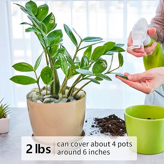 2LB Succulent and Cactus Jade Pebbles, 3/8 Inch Natural Decorative Polished Stones, River Rocks for Indoor Plants, Vases, Planters and Outdoor Gardening