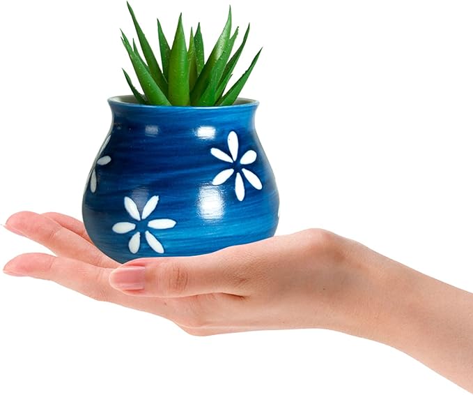 Cute Succulent Pots with Drainage Bamboo Tray - 3" Succulent Planters with Drainage Hole Ceramic Planter Tiny Pots for Indoor Small Plants, Small pots for Succulents Cactus Container Set of 6