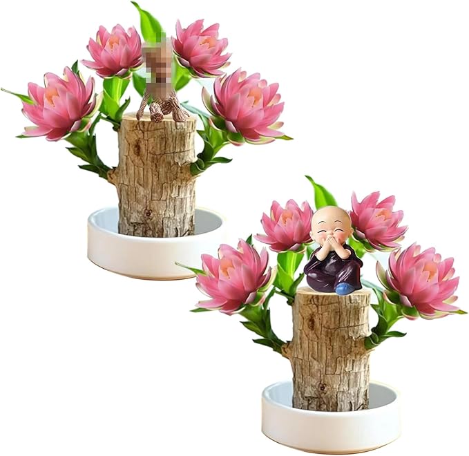 Brazilian Lucky Wood Kit with Monk, Grow Your Own Luck,Easy to Maintain Mini Brazil Woods for Indoor/Outdoor, Bedroom, Kitchen, Office Desk, Garden and Other Decorations (6C)